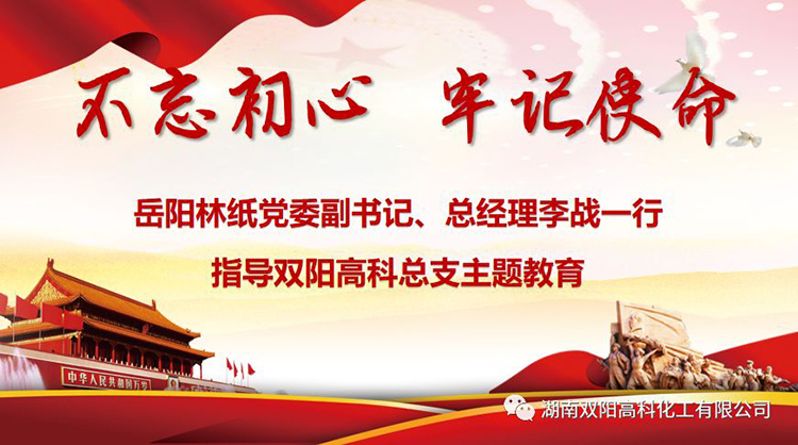 岳阳林纸党委副书记、总经理李战到双阳高科开展“不忘初心、牢记使命”主题教育调研
