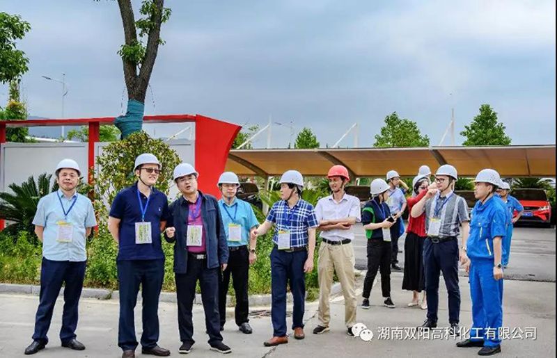 中国纸业总经理张强调研双阳高科