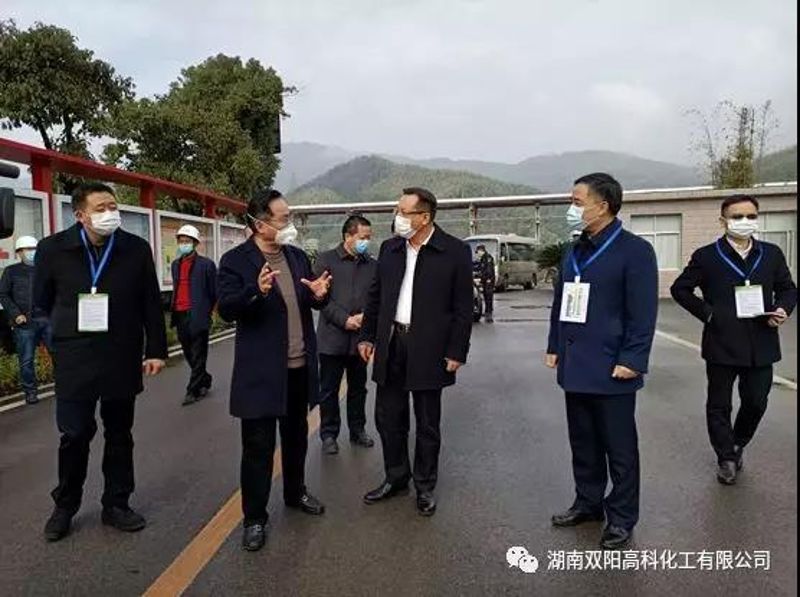 怀化市委副书记、市长雷绍业调研双阳高科