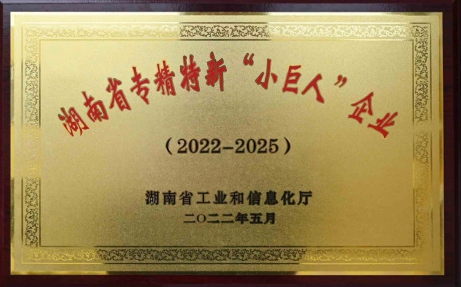 湖南省专精特新“小巨人”企业